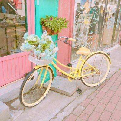 半岛·体育中国官方网站入口