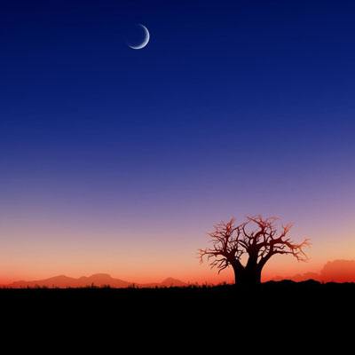 BOB体育平台下载地址