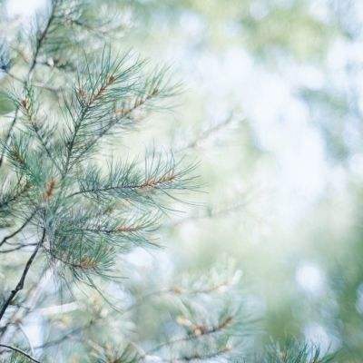 乐鱼app登录入口截图