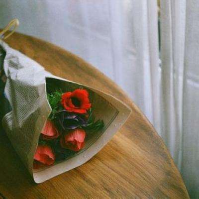 乐鱼app登录入口截图