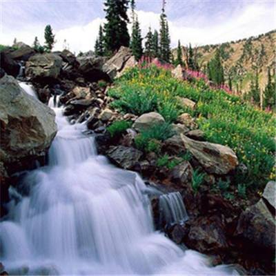 足球游戏app下载截图