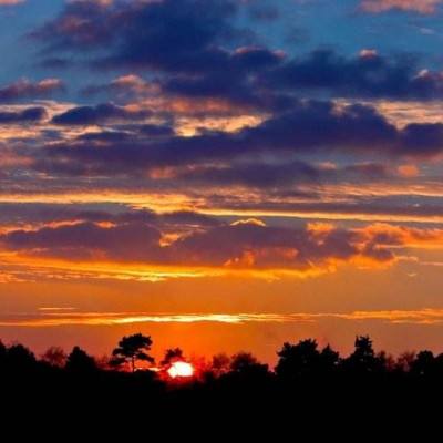 永乐国际手机app下载